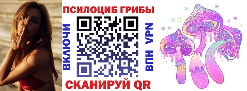 Купить закладки  Бабаево  Псилоцибиновые грибы ЛСД 